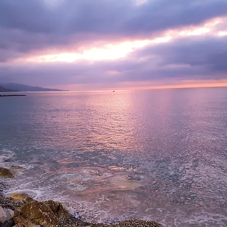 酒店 Le Dauphin 3*