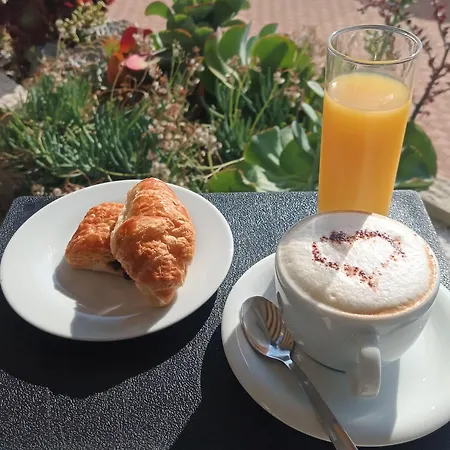 Hotel Le Dauphin Menton